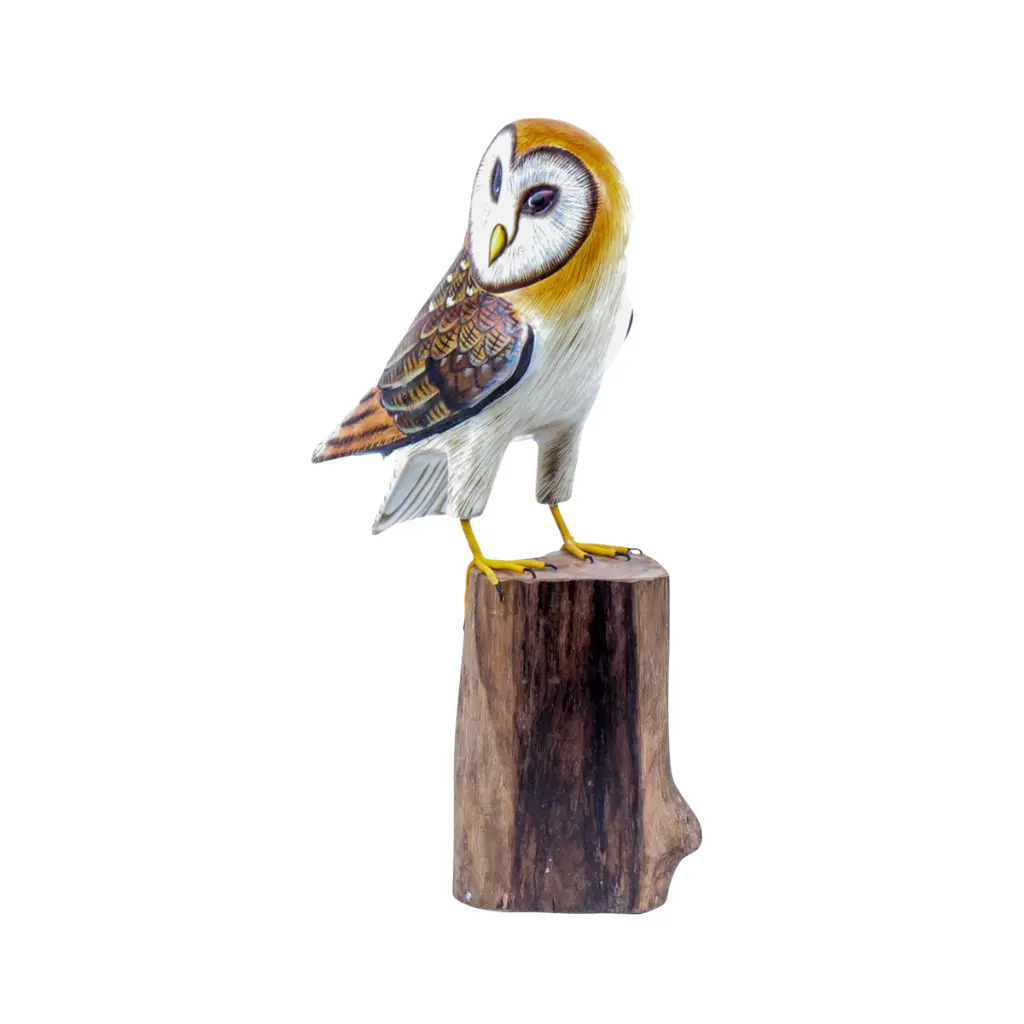 OWLBAW20 (8).webp