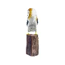 OWLBAW20 (7).webp