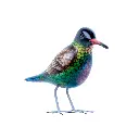 HUMW10 (1).webp