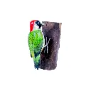 WOODPGREENW18 (2).webp