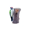 WOODPGREENW18 (7).webp