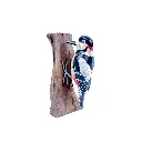 WOODPSPOTW18 (4).webp
