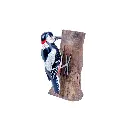 WOODPSPOTW18 (2).webp