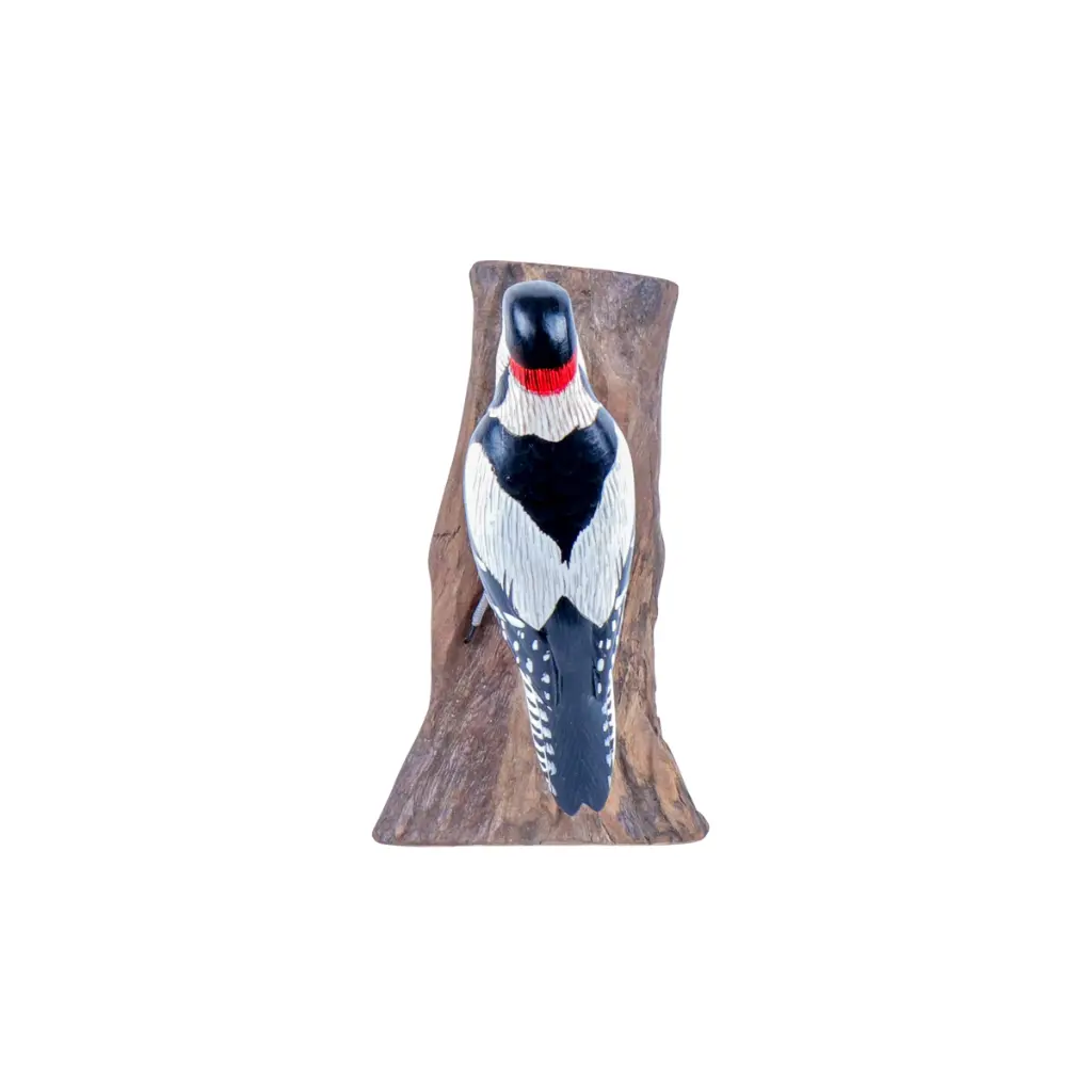 WOODPSPOTW18 (3).webp