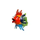 FIHG10-Voilé-01(6).webp