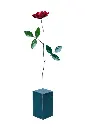 ROSESTUP73-01(4).webp