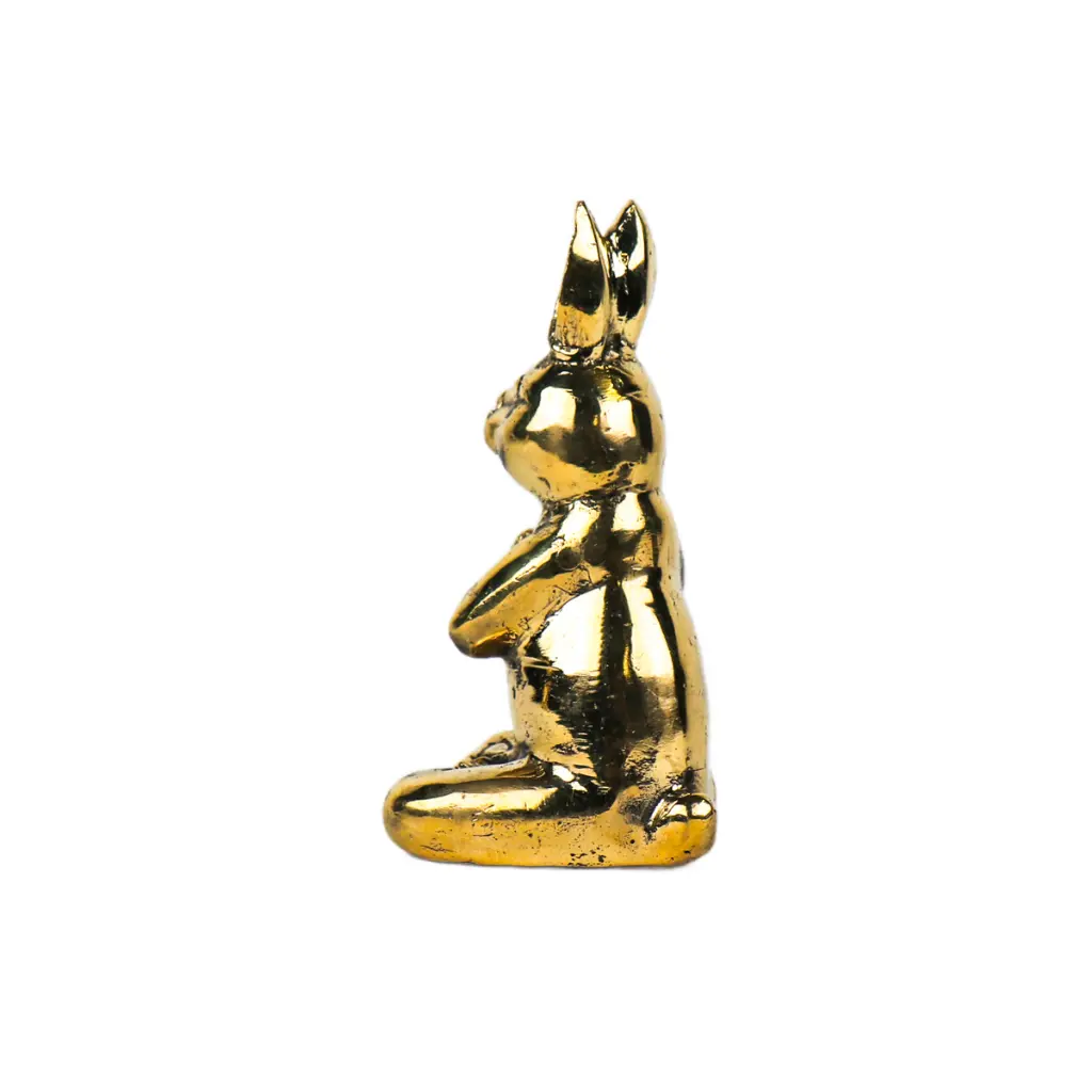 RABBIYOGBZ13-01 (6).webp