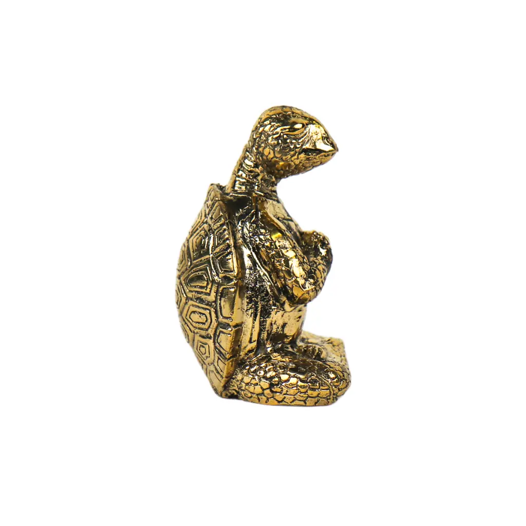 TURTLYOGBZ10-01 (3).webp