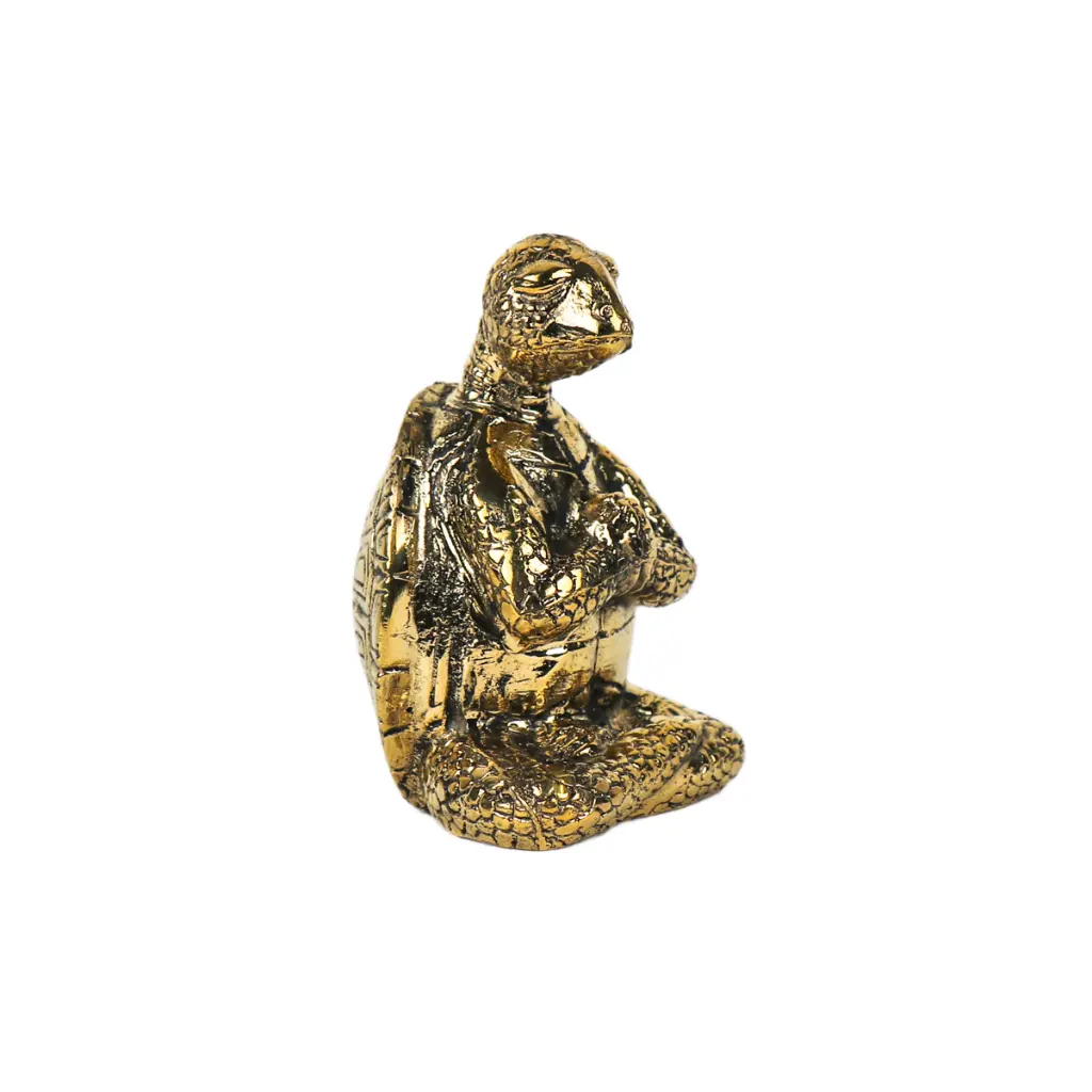 TURTLYOGBZ10-01 (2).webp