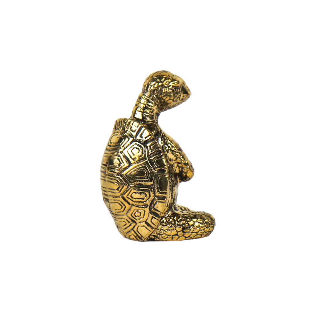 TURTLYOGBZ10-01 (4).webp