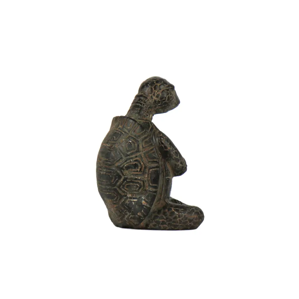 TURTLYOGBZ10-03 (4).webp