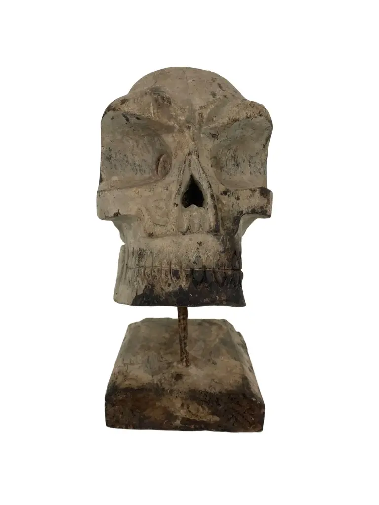 Crâne Sculpté - 31 x 14 x 22 cm.webp