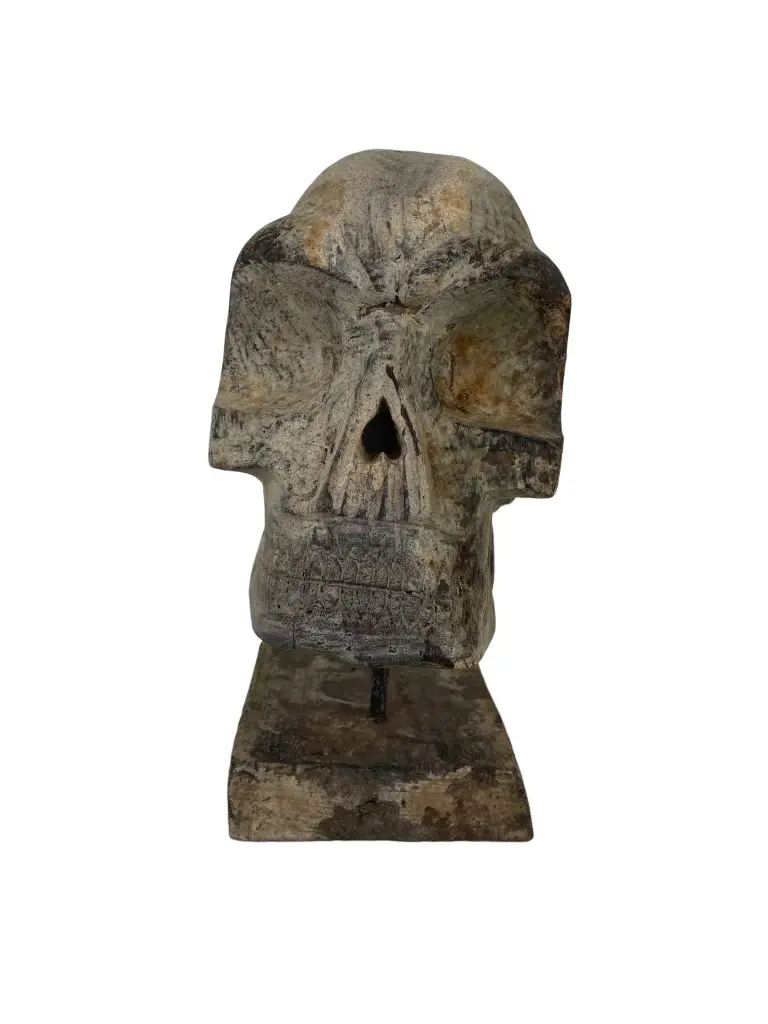 Crâne Sculpté - 31 x 15 x 22 cm.webp