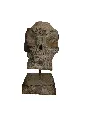 Crâne Sculpté - 31 x 15 x 23 cm.webp