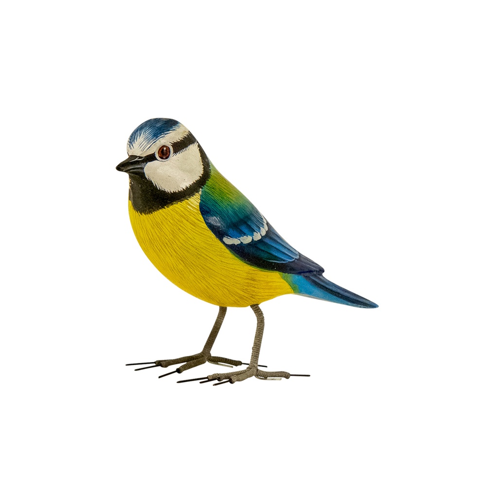 BIRDW10-02 (Blue Tit-Mésange Bleue) (2).jpg