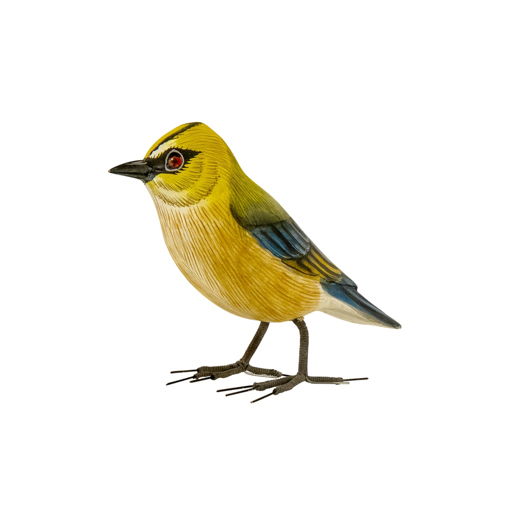 BIRDW10-04 (Blue-Winged Warbler- Paruline à Ailes Bleues) (2).jpg