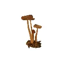 067 (5).webp