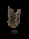 Petites Ailes Sculptées sur Socle - 60 x 43 x 12 cm