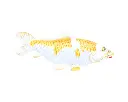 Koi - Large - Blanc & Jaune - 16 x 40 x 9 cm