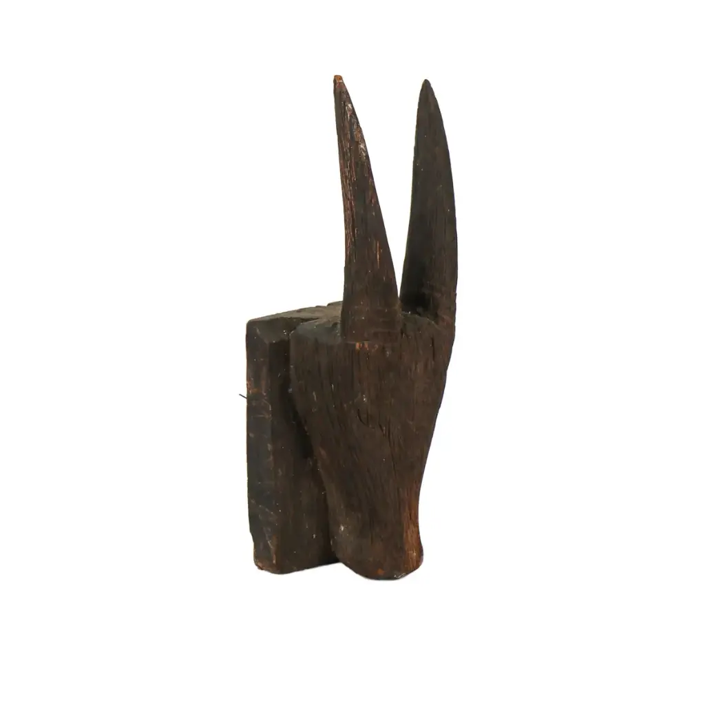 Tête de Bovidés - 40 x 15 x 14 cm