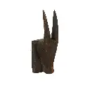 Tête de Bovidés - 40 x 15 x 14 cm
