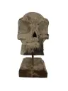 Crâne Sculpté - 31 x 14 x 22 cm