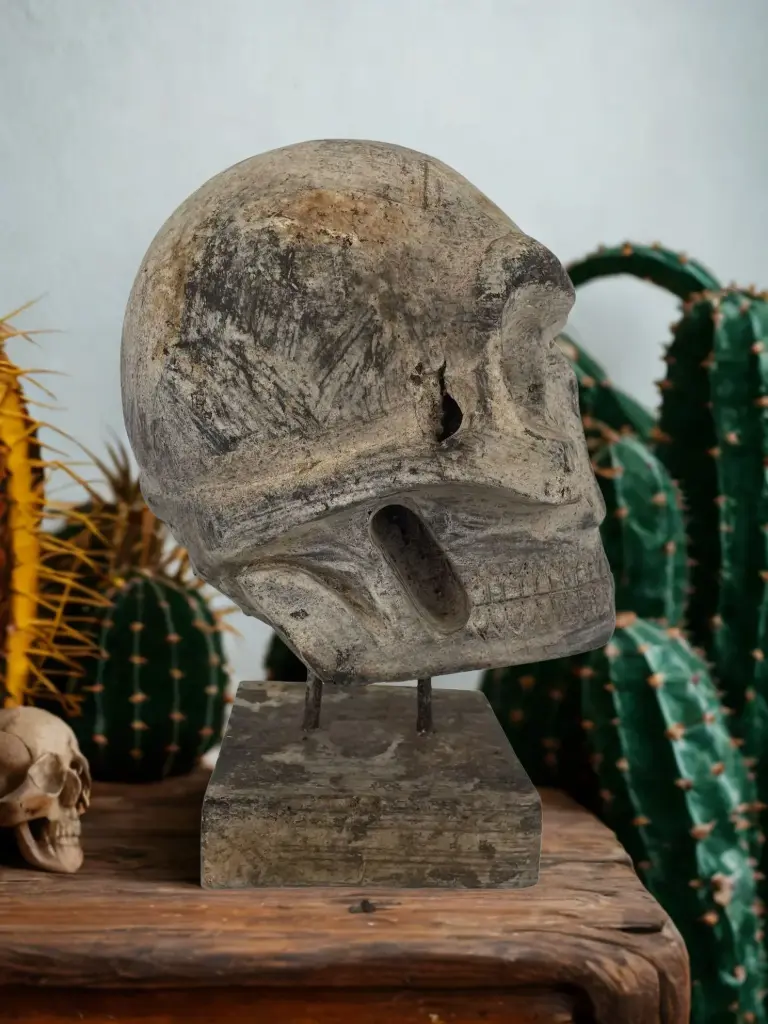 Crâne Sculpté - 31 x 15 x 22 cm