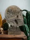 Crâne Sculpté - 31 x 15 x 22 cm