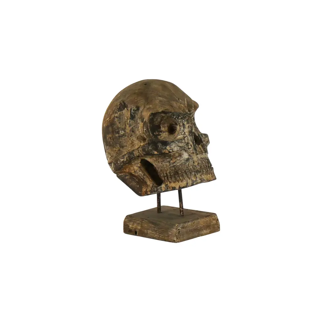 Crâne Sculpté - 31 x 15 x 25 cm