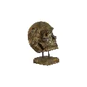 Crâne Sculpté - 31 x 15 x 25 cm