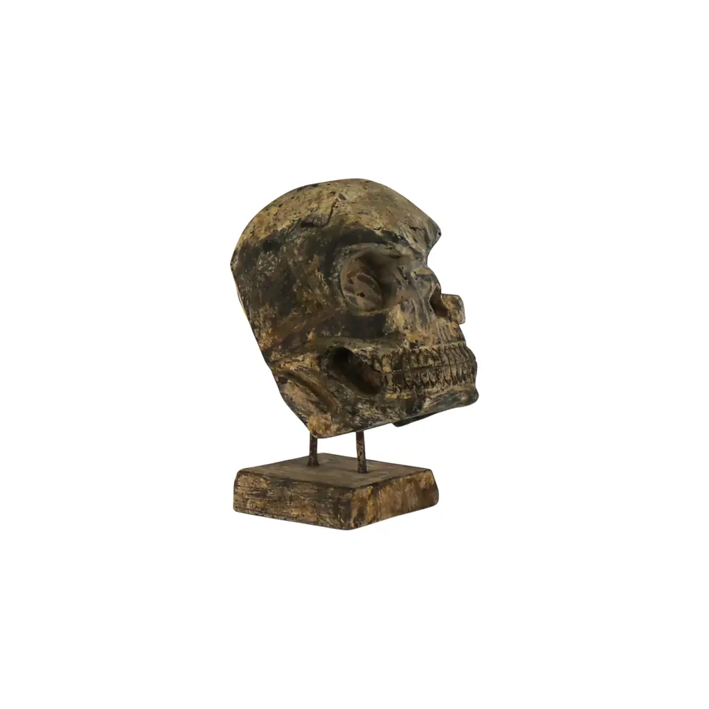 Crâne Sculpté - 30 x 15 x 25 cm