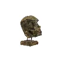 Crâne Sculpté - 30 x 15 x 25 cm