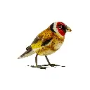 Oiseau - Chardonneret - 10 x 11,5 x 4 cm