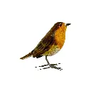 Oiseau - Rouge-Gorge - 10 x 11,5 x 4 cm