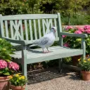 Colombe - Blanc & Gris - 18 x 27 x 10 cm