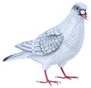Colombe - Blanc & Gris - 18 x 27 x 10 cm