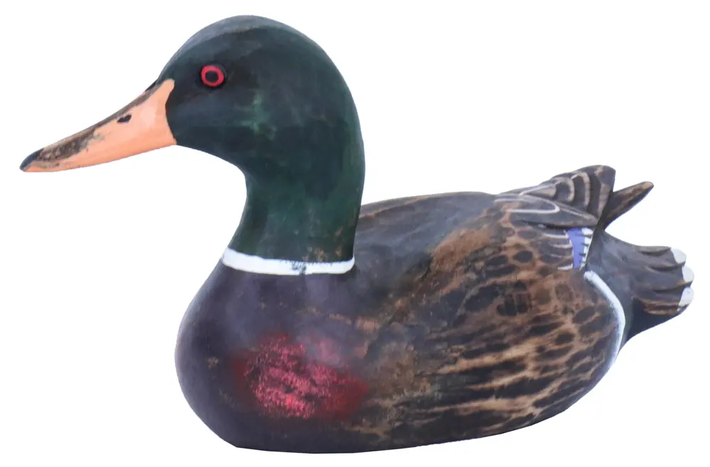 Canard - Mâle - Mix Couleur - 16 x 29 x 12 cm