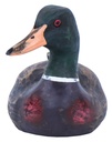 Canard - Mâle - Mix Couleur - 16 x 29 x 12 cm