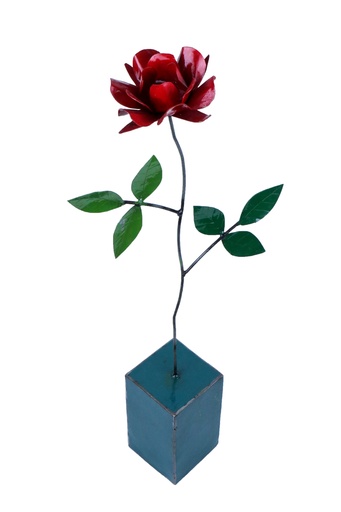 Rose - 73 x 31 x 10 cm