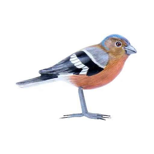 [BIRDW10-PINS-C] Oiseau - Pinson - 10 x 11,5 x 4 cm