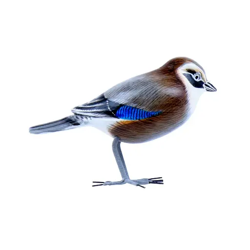 [BIRDW10-GEAI-C] Oiseau - Geai - 10 x 11,5 x 4 cm