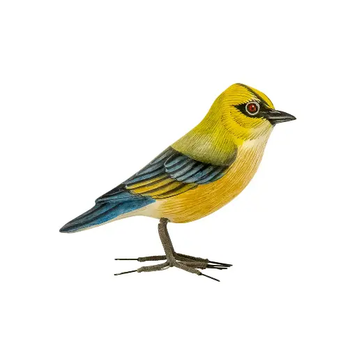 [BIRDW10-PARU-C] Oiseau - Paruline à Ailes Bleues - 10 x 11,5 x 4 cm