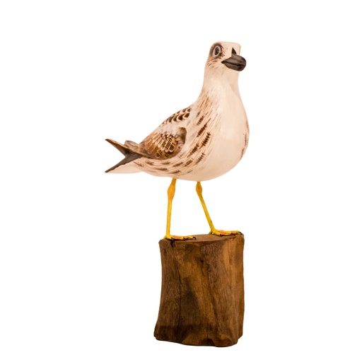 [SEAGULW32-C] Mouette - Crème & Brun - 32 x 24 x 10 cm