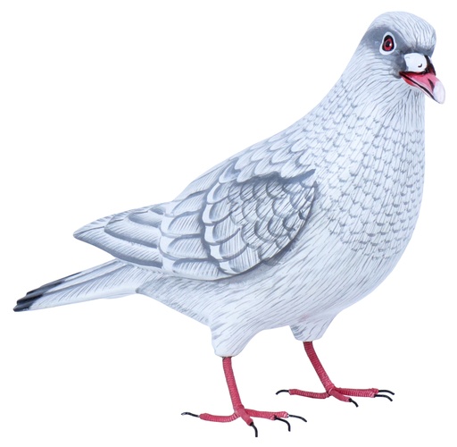 [DOVEW18-C] Colombe - Blanc & Gris - 18 x 27 x 10 cm