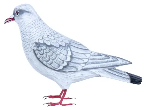 [DOVEW18-C] Colombe - Blanc & Gris - 18 x 27 x 10 cm