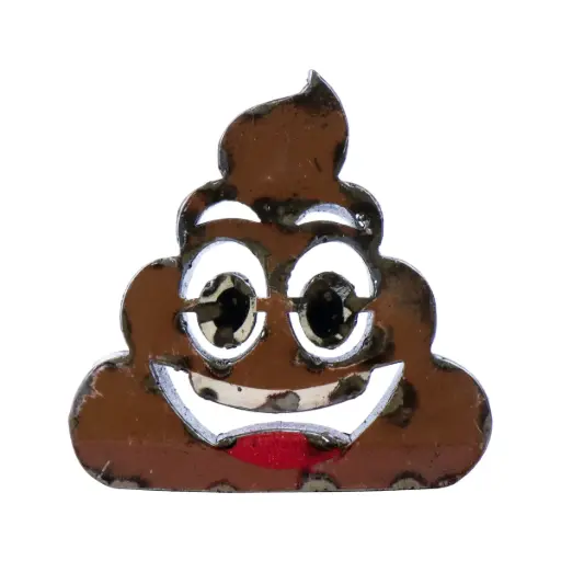 [EMO30-POO-C] Emoji - 💩 - Tas de crotte - 28 x 28 x 4 cm