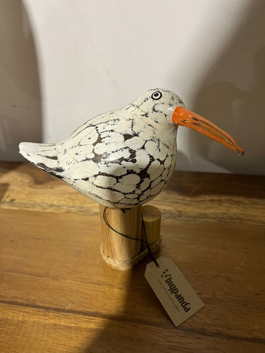 [2024-06-03-0002-B] Kiwi - 18 x 10 x 10 cm