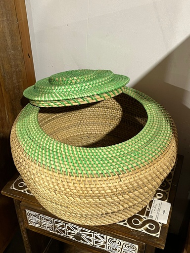 [2024-06-03-0022-B] Panier à Serpent Vert - 28 x 50 x 50 cm