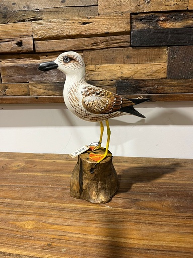 [2024-06-04-0023-B] Mouette - 32 x 10 x 25 cm