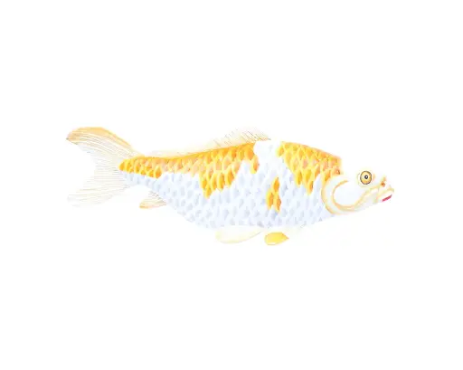 [KOIW40-02-S3-M-C] Koi - Medium - Blanc & Jaune - 13 x 30 x 7,5 cm